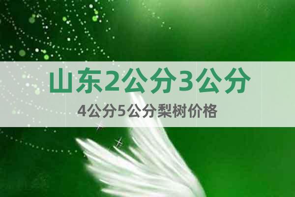 山東2公分3公分4公分5公分梨樹價(jià)格