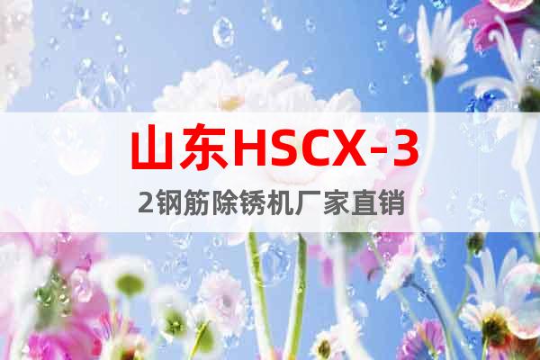 山東HSCX-32鋼筋除銹機(jī)廠家直銷(xiāo)