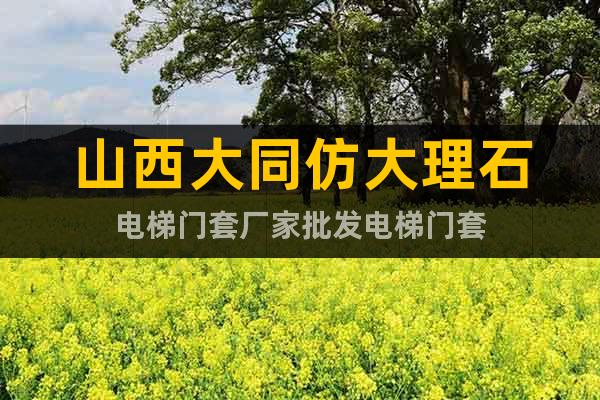 山西大同仿大理石電梯門套廠家批發(fā)電梯門套