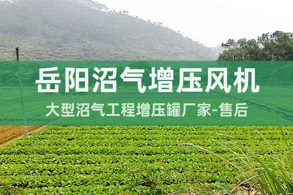 岳陽沼氣增壓風機大型沼氣工程增壓罐廠家-售后