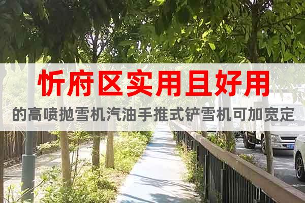 忻府區(qū)實(shí)用且好用的高噴拋雪機(jī)汽油手推式鏟雪機(jī)可加寬定做