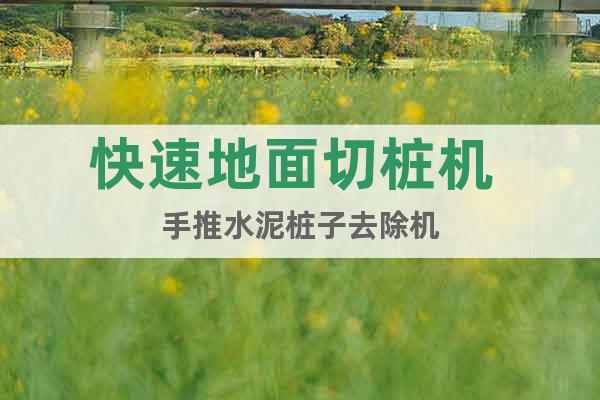快速地面切樁機(jī) 手推水泥樁子去除機(jī)