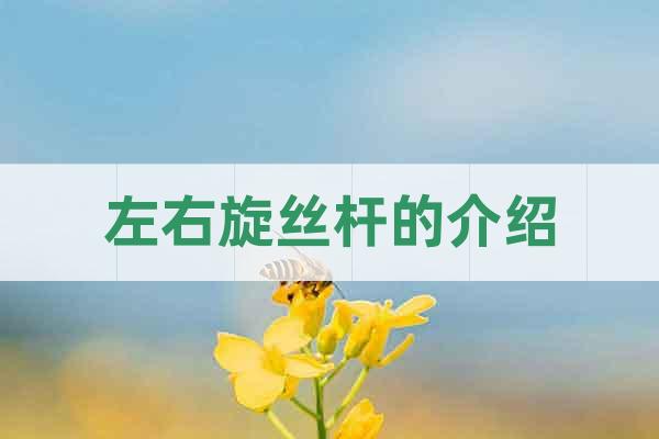 左右旋絲桿的介紹