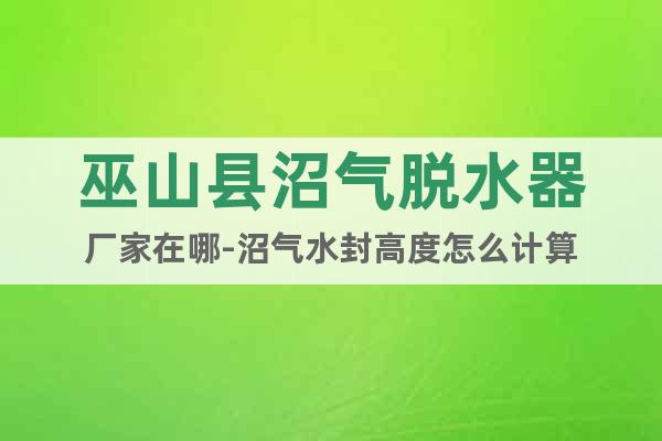 巫山縣沼氣脫水器廠家在哪-沼氣水封高度怎么計算