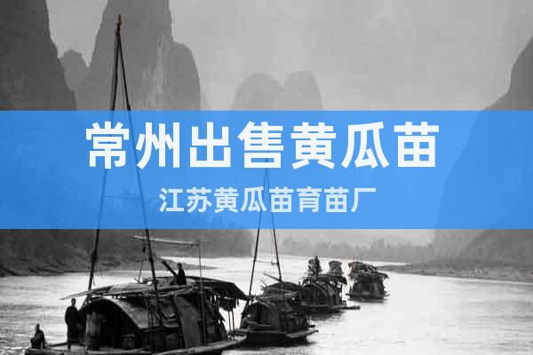 常州出售黃瓜苗 江蘇黃瓜苗育苗廠