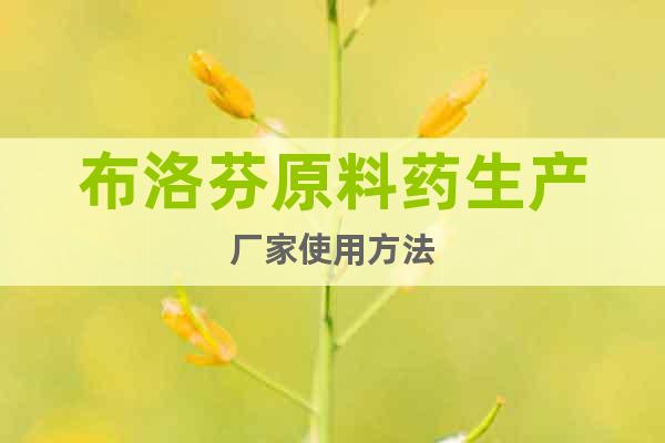 布洛芬原料藥生產(chǎn)廠家使用方法