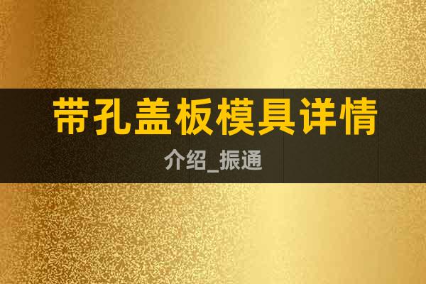 帶孔蓋板模具詳情介紹_振通