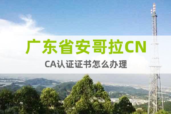 广东省安哥拉CNCA认证证书怎么办理