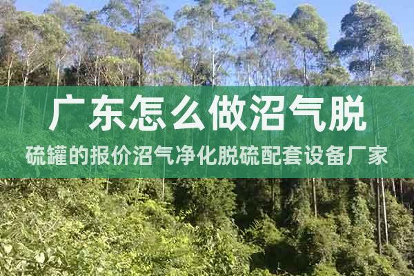 廣東怎么做沼氣脫硫罐的報(bào)價(jià)沼氣凈化脫硫配套設(shè)備廠家