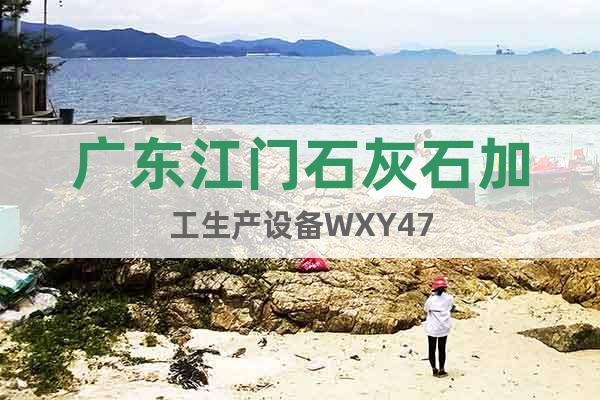 广东江门石灰石加工生产设备WXY47