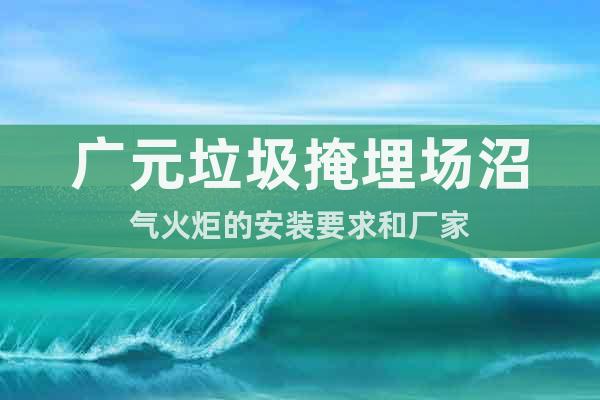 廣元垃圾掩埋場(chǎng)沼氣火炬的安裝要求和廠家
