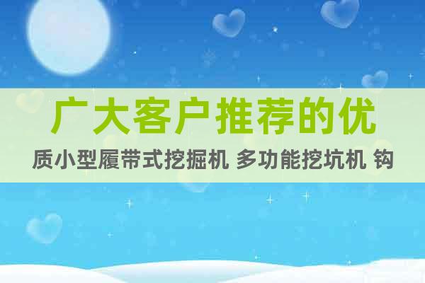 廣大客戶推薦的優(yōu)質(zhì)小型履帶式挖掘機(jī) 多功能挖坑機(jī) 鉤機(jī)品牌