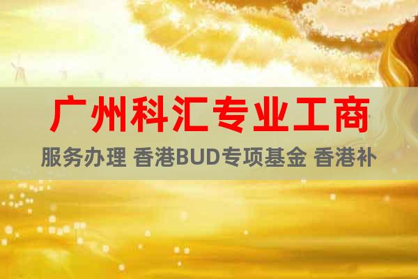 广州科汇专业工商服务办理 香港BUD专项基金 香港补贴申领