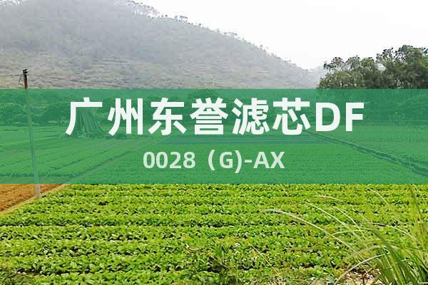 广州东誉滤芯DF0028（G)-AX