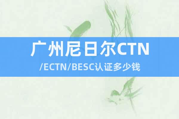 广州尼日尔CTN/ECTN/BESC认证多少钱