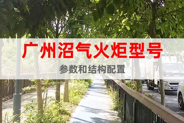 廣州沼氣火炬型號參數(shù)和結(jié)構(gòu)配置