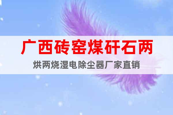 廣西磚窯煤矸石兩烘兩燒濕電除塵器廠家直銷