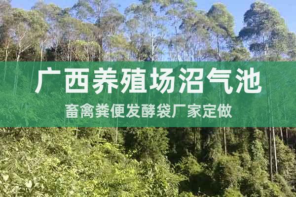 廣西養(yǎng)殖場沼氣池畜禽糞便發(fā)酵袋廠家定做