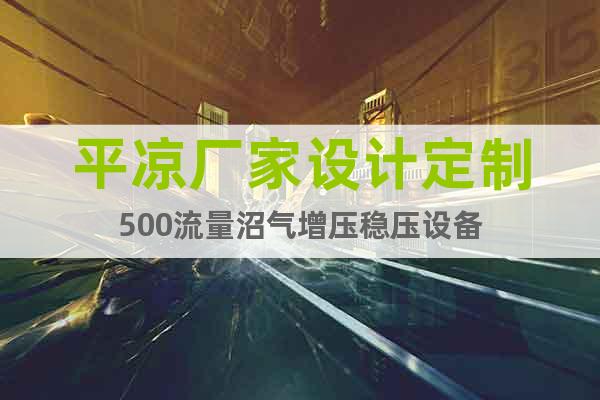 平?jīng)鰪S家設(shè)計(jì)定制500流量沼氣增壓穩(wěn)壓設(shè)備