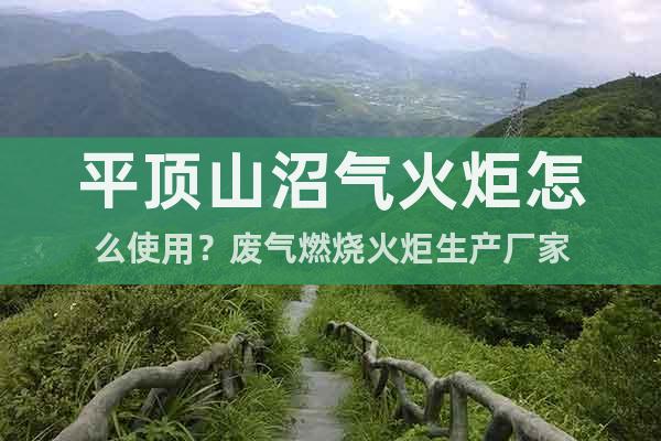 平頂山沼氣火炬怎么使用？廢氣燃燒火炬生產(chǎn)廠家