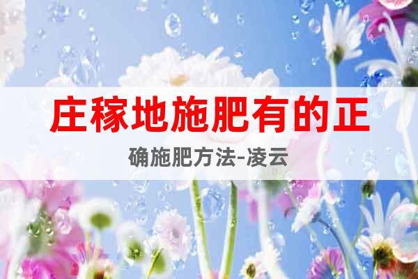 莊稼地施肥有的正確施肥方法-凌云