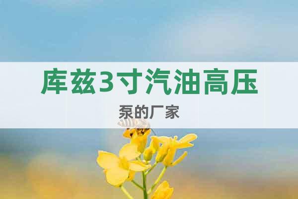 庫茲3寸汽油高壓泵的廠家