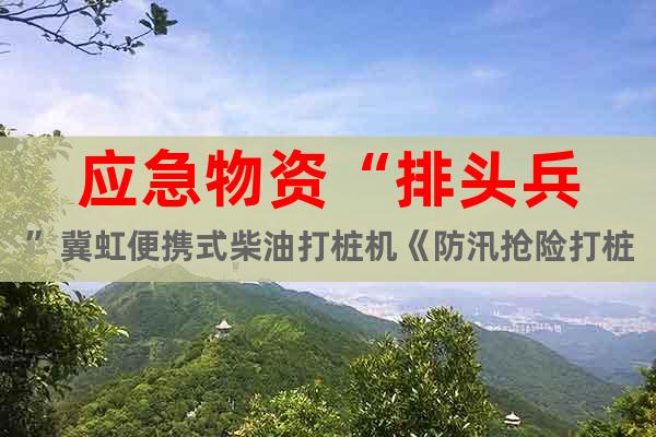 應(yīng)急物資“排頭兵”冀虹便攜式柴油打樁機《防汛搶險打樁機》