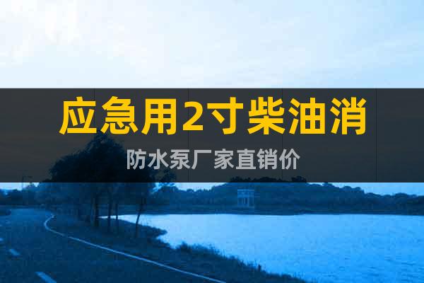 應(yīng)急用2寸柴油消防水泵廠家直銷價