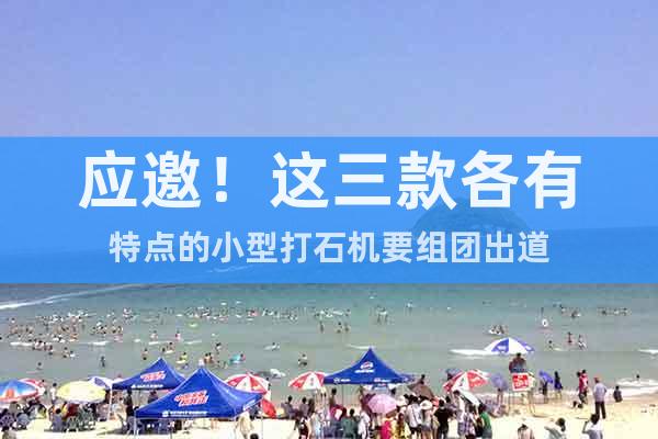 應(yīng)邀！這三款各有特點的小型打石機要組團出道