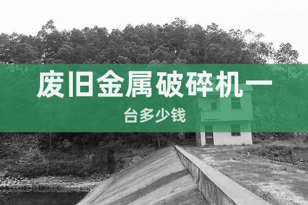 廢舊金屬破碎機(jī)一臺(tái)多少錢(qián)