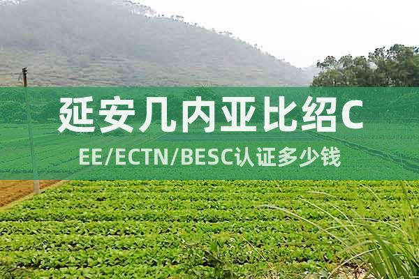 延安幾內(nèi)亞比紹CEE/ECTN/BESC認(rèn)證多少錢