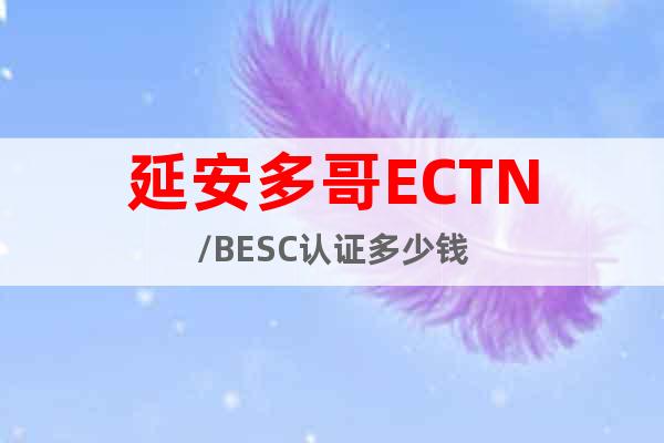 延安多哥ECTN/BESC认证多少钱