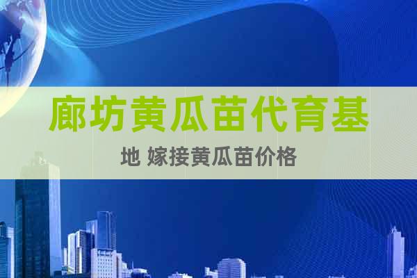 廊坊黃瓜苗代育基地 嫁接黃瓜苗價(jià)格