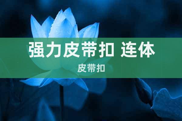 強力皮帶扣 連體皮帶扣