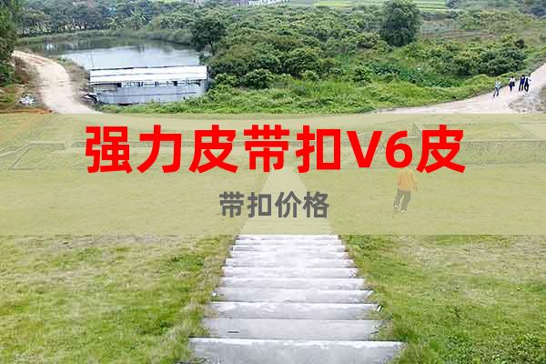 強力皮帶扣V6皮帶扣價格