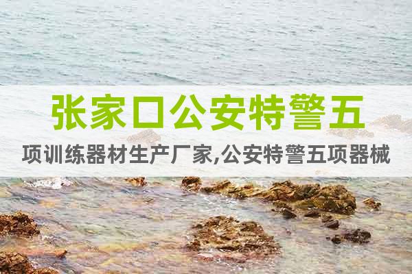 張家口公安特警五項(xiàng)訓(xùn)練器材生產(chǎn)廠家,公安特警五項(xiàng)器械多少錢
