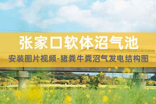 張家口軟體沼氣池安裝圖片視頻-豬糞牛糞沼氣發(fā)電結構圖紙