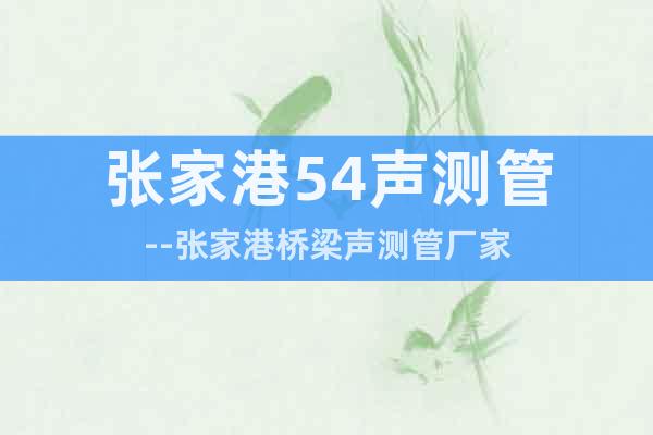 張家港54聲測管--張家港橋梁聲測管廠家