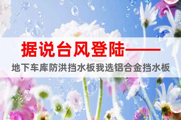據(jù)說臺風(fēng)登陸——地下車庫防洪擋水板我選鋁合金擋水板