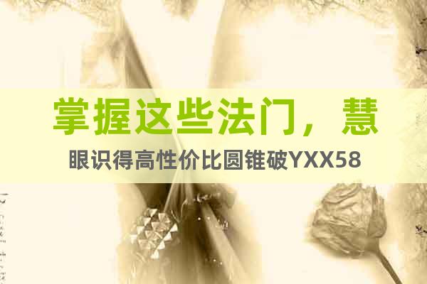 掌握這些法門，慧眼識(shí)得高性價(jià)比圓錐破YXX58