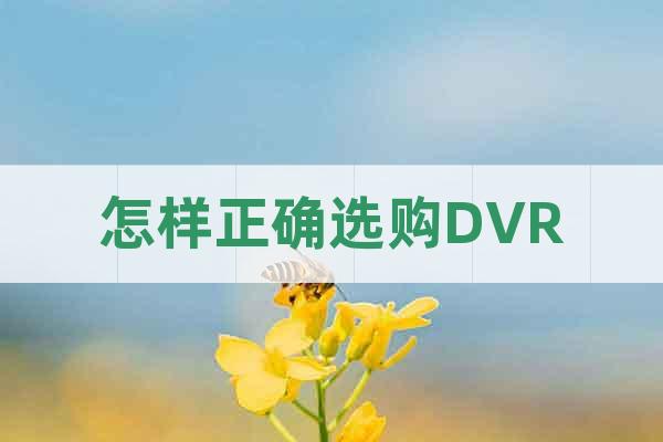 怎樣正確選購DVR