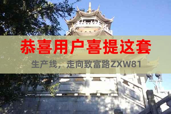 恭喜用戶喜提這套生產(chǎn)線，走向致富路ZXW81