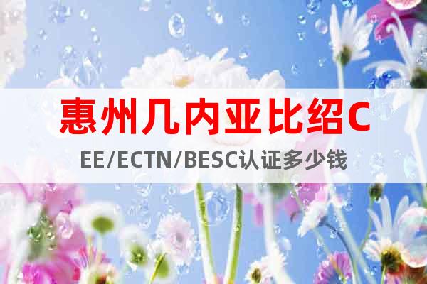 惠州几内亚比绍CEE/ECTN/BESC认证多少钱