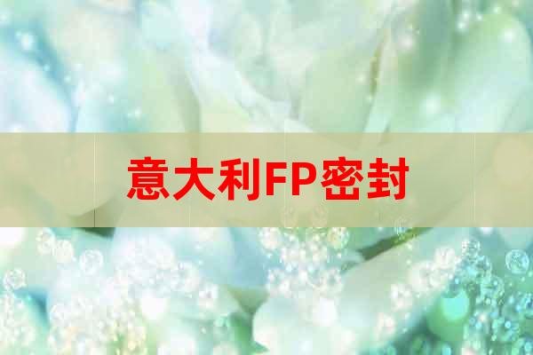 意大利FP密封