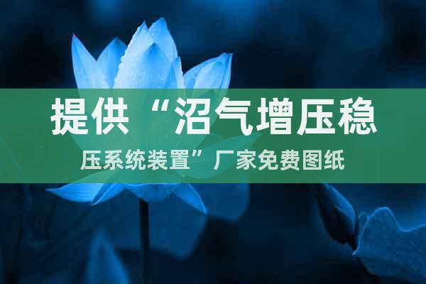 提供“沼氣增壓穩(wěn)壓系統(tǒng)裝置”廠家免費(fèi)圖紙