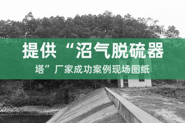 提供“沼氣脫硫器塔”廠家成功案例現(xiàn)場(chǎng)圖紙