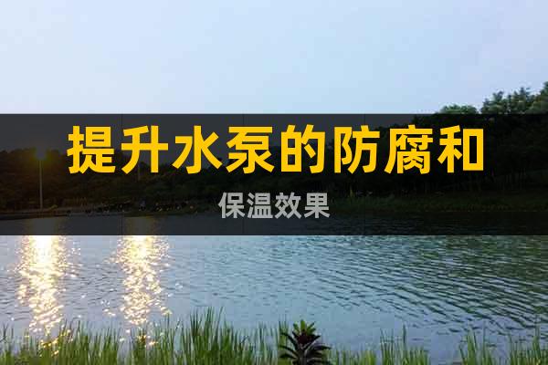 提升水泵的防腐和保溫效果