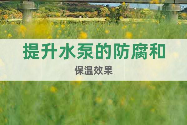 提升水泵的防腐和保溫效果