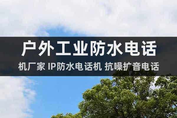 戶外工業(yè)防水電話機(jī)廠家 IP防水電話機(jī) 抗噪擴(kuò)音電話IP