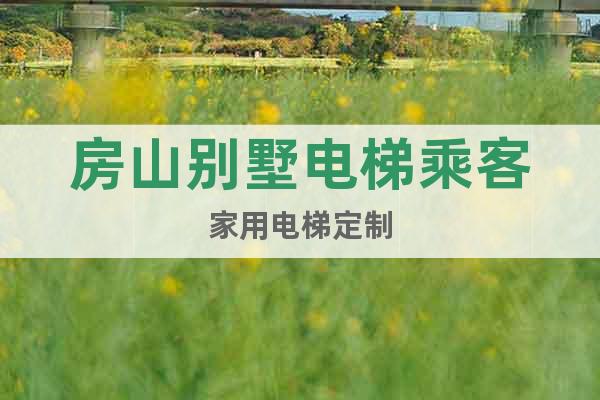 房山別墅電梯乘客家用電梯定制